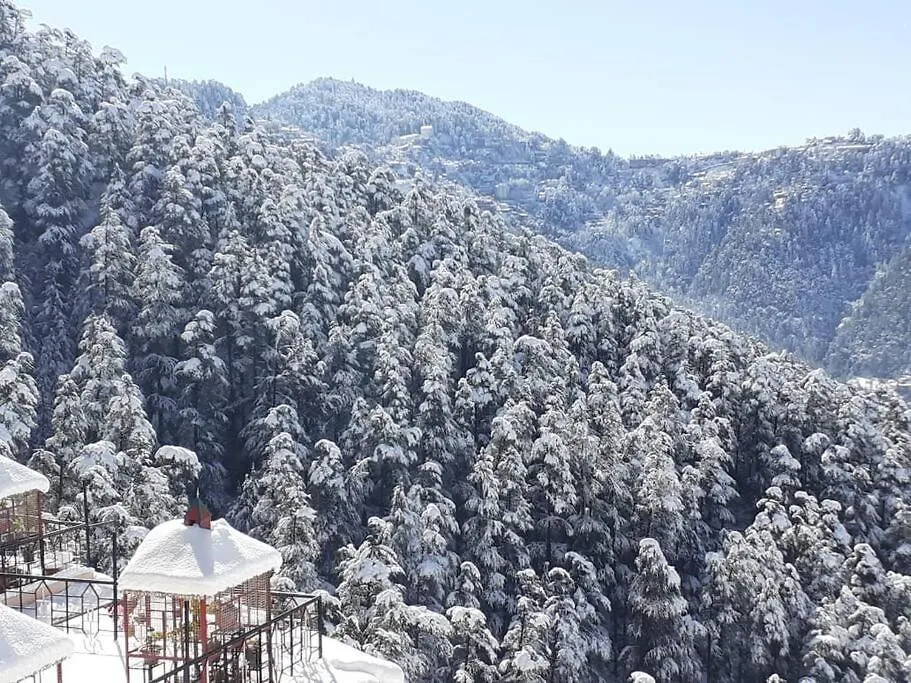 Residence Inn Homestay Σίμλα 0*,  Ινδία