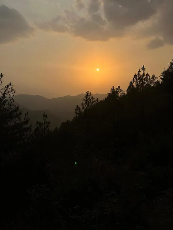 Residence Inn Homestay Shimla 0*,